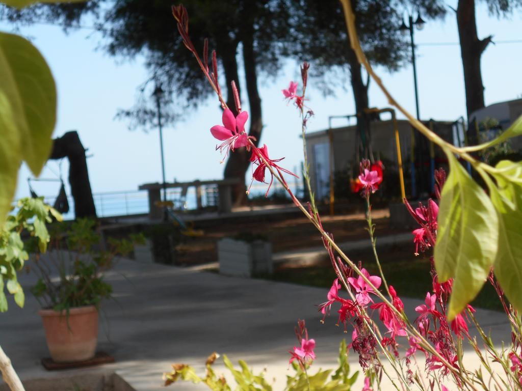 Brunello Seaside Apartments Lefkada City Екстер'єр фото