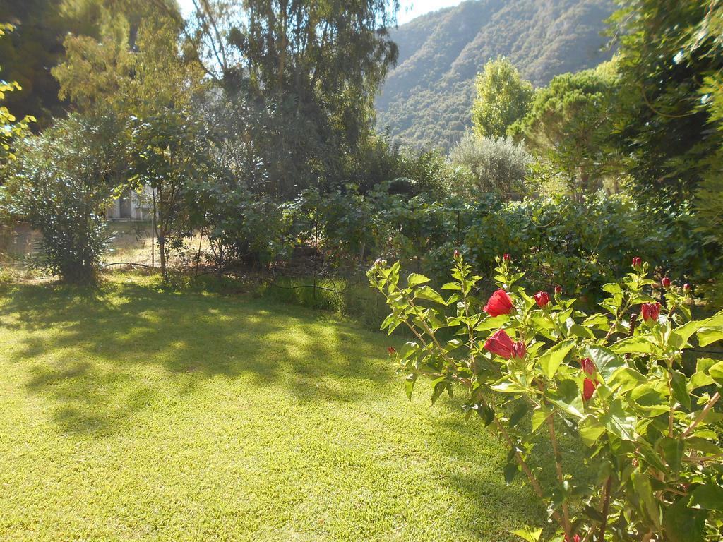 Brunello Seaside Apartments Lefkada City Екстер'єр фото