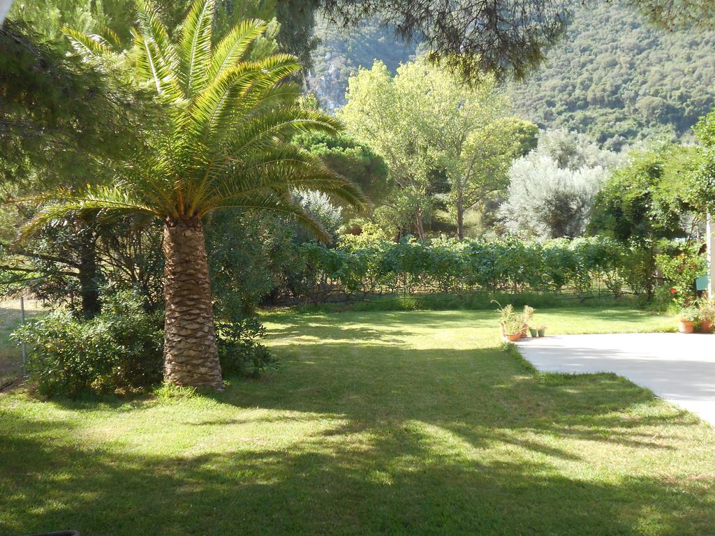 Brunello Seaside Apartments Lefkada City Екстер'єр фото